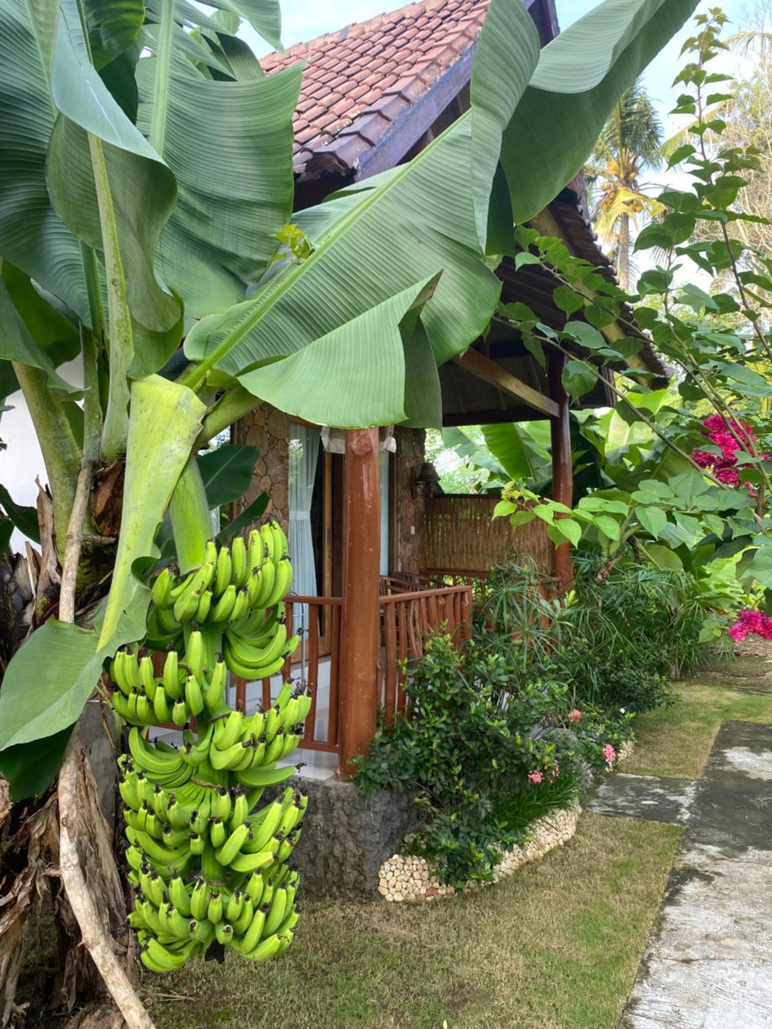Grealeen Cottages Ped ภายนอก รูปภาพ